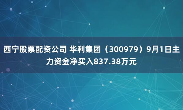 西宁股票配资公司 华利集团（300979）9月1日主力资金净买入837.38万元