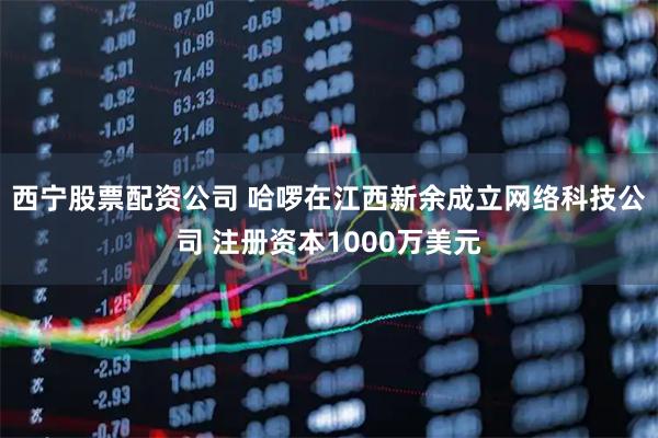 西宁股票配资公司 哈啰在江西新余成立网络科技公司 注册资本1000万美元